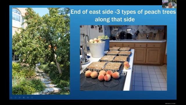 Side Gardens - Not Just A Freeway To The Backyard But A Highway To Heaven