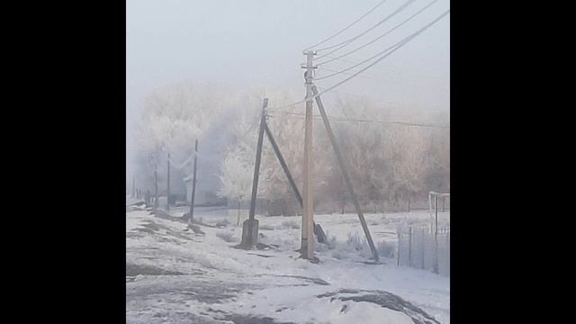 дикая природа, лес, река, зима. смотреть онлайн