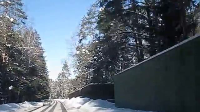 Красивая лесная дорога во Всеволожский район смотреть онлайн