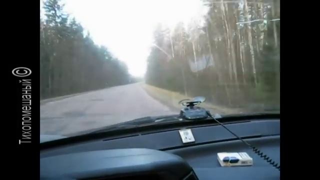 Один ноябрьский день из жизни Тихопомешаного.avi смотреть онлайн