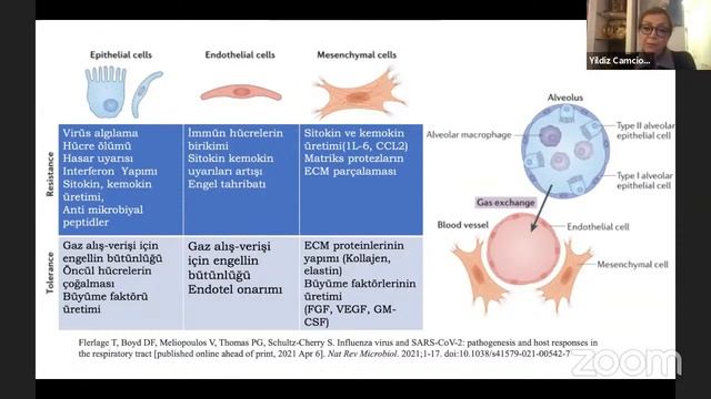 Pandemi Sürecinde Grip - Prof. Dr. Selim Badur, Prof. Dr. Yıldız Camcıoğlu смотреть онлайн