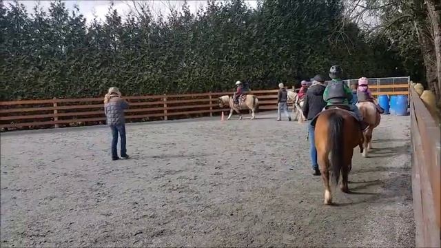 Как я провел весенние каникулы или лошади и ранчо смотреть онлайн