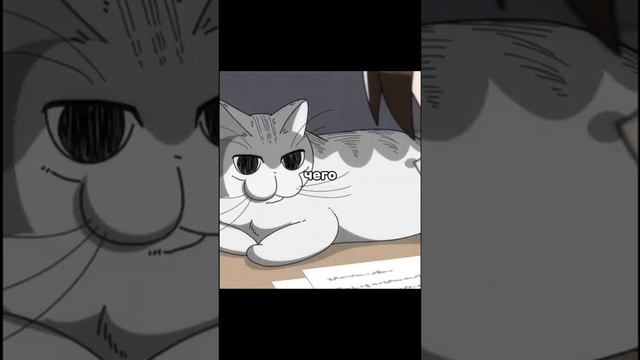 Аниме вечера с кошкой смотреть онлайн