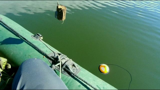 Narval FROST Boat Feeder.mp4