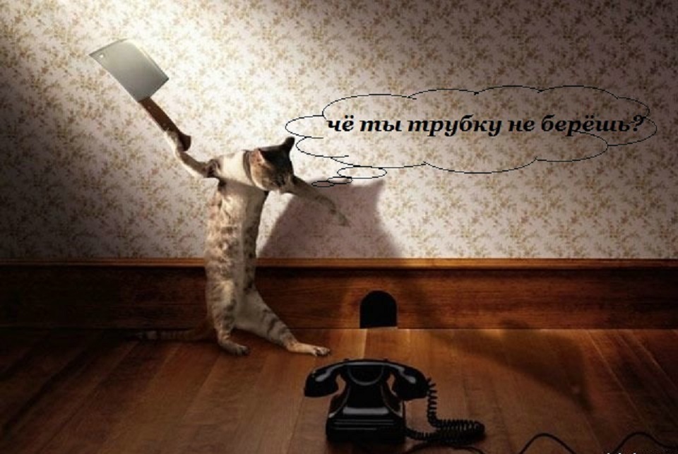 Смешной звонок смотреть онлайн