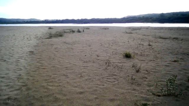 ✅КОП НА РЕКЕ НЕМАН...COP ON THE NEMAN RIVER (((