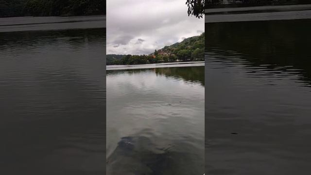 Сердце города) Шри Ланка. Канди. смотреть онлайн