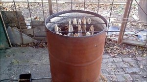 Кальмар холодного копчения