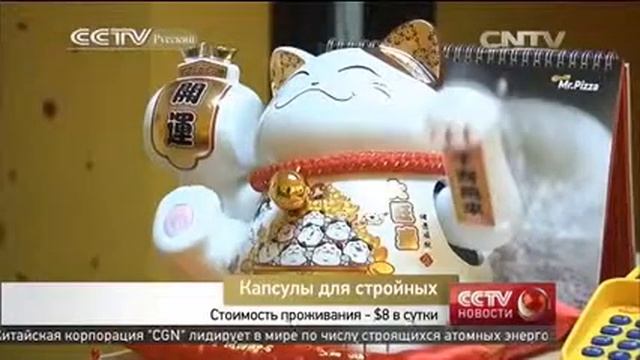 Капсулы для стройных смотреть онлайн