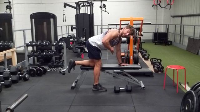 Dumbbell Row for Hazel смотреть онлайн