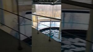 бассейн. санаторий "голубая речка"