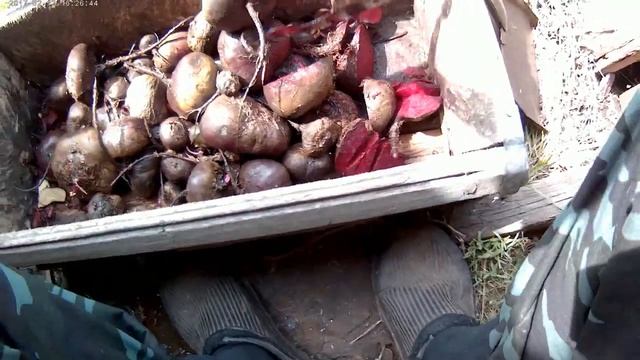 Свёкла какую давать козам? смотреть онлайн