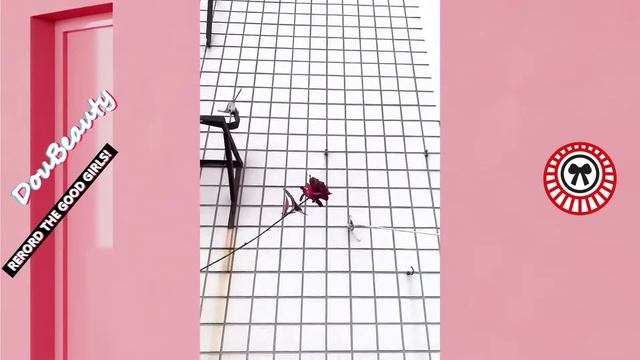 DouBeauty Videos 2020 · #10 Dress in Lolita fashion and JK fashion | Seifuku | Subculture | TikTok смотреть онлайн