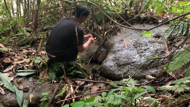 survival instinct in the jungle using survival skills to find food in the jungle(Ep15) смотреть онлайн