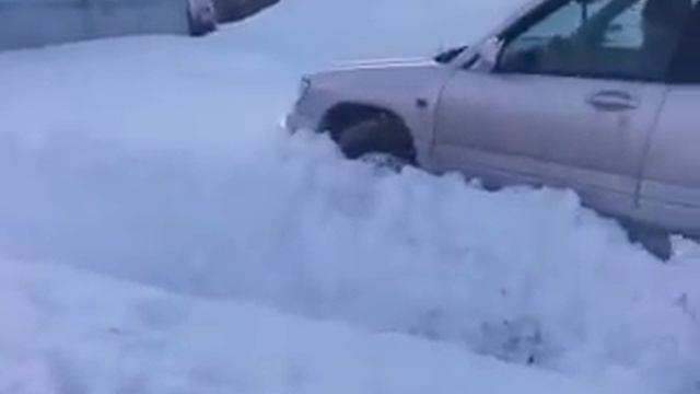 subaru forester s20.3gp