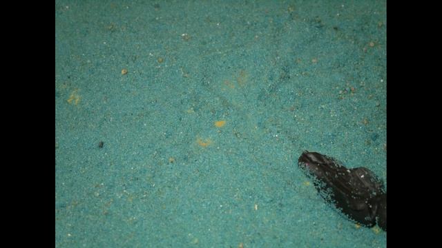 анимация "Красная шапочка на православный лад" смотреть онлайн