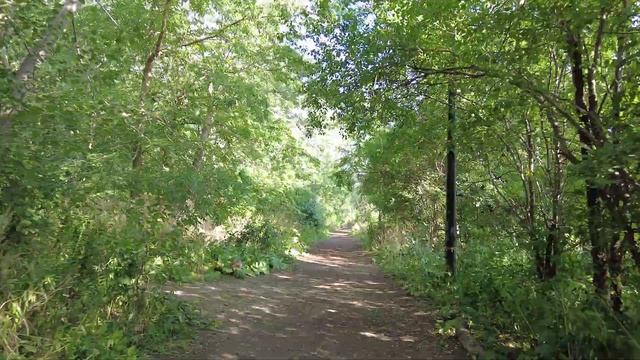 Hidden Path to Toronto's Riverdale Park From Danforth Ave (Aug 2021) смотреть онлайн