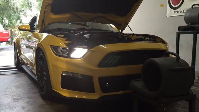 Procharged 2015 Mustang смотреть онлайн