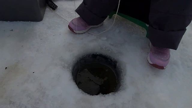 Рыбалка в зимней палатке с семьёй. Начало февраля 2023 смотреть онлайн