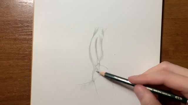 Pencil drawing technique. She loves big bananas. Female lips. Art shadow technique. #art #drawing смотреть онлайн