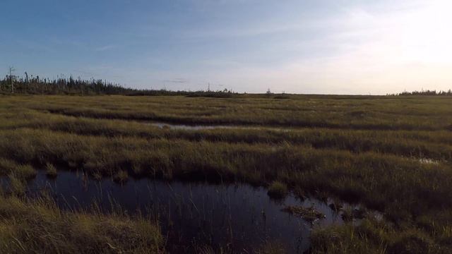 Hideaway Lodge:  Newfoundland Moose Hunting