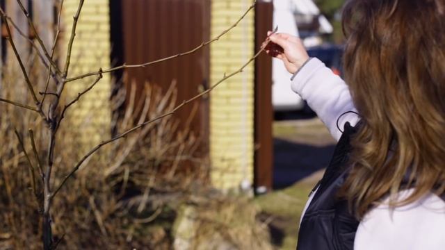 Весенние обрезки деревьев, обрезка груши, как обрезать яблоню, правильная обрезка деревьев смотреть онлайн