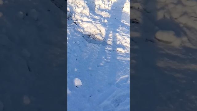 Лпс на улице 2