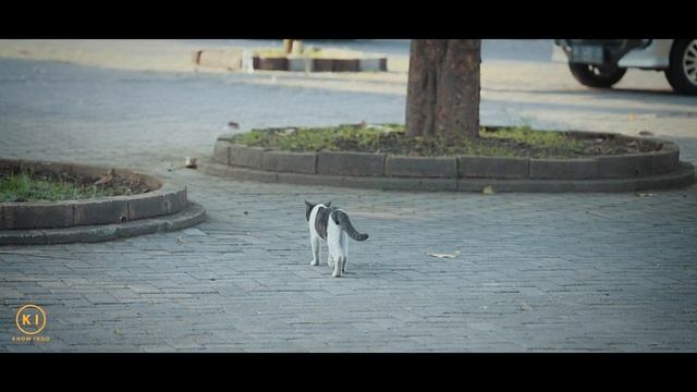 Family Gathering 2023 | East Java смотреть онлайн