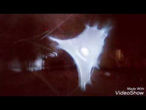 Blizzard [Zatriz 2012] смотреть онлайн