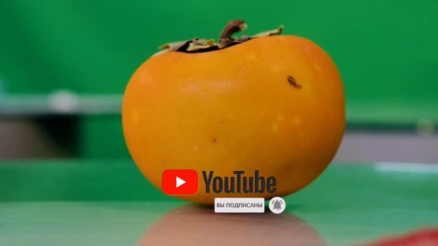 ХУРМА - ПОЛЬЗА И ВРЕД ДЛЯ ОРГАНИЗМА смотреть онлайн