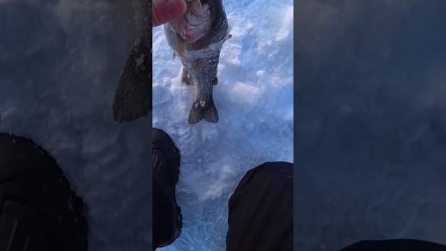 ЭКСТРАКТОР В ПОМОЩЬ смотреть онлайн