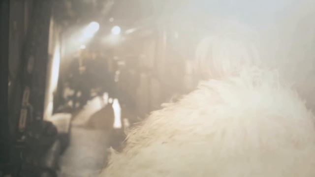 Patricia Kaas - Kabaret (4K-Upscale) 2008