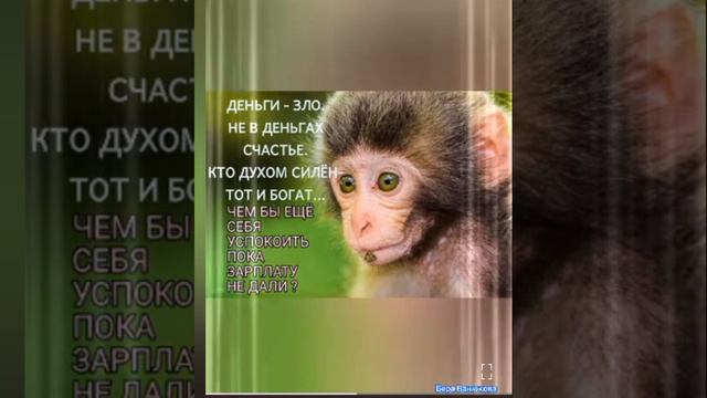 1000083219.mp4А ты сегодня УЛЫБАЛСЯ? Юмор для отличного настроения смотреть онлайн