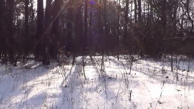САМВЕЛ АДАМЯН СДЕЛАЛ НЕХОРОШЕЕ В ЦЕРКВИ. ГУЛЬНАЗ В ОПАСНОСТИ