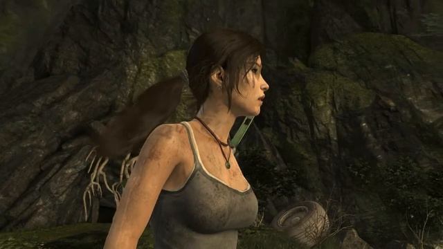 Best NVIDIA Beta Drivers for Tomb Raider Gameplay (314.21) смотреть онлайн