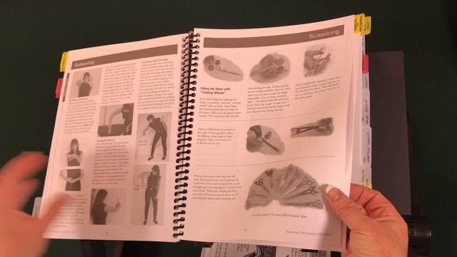 Going Over How to use Notes from the Grooming Table смотреть онлайн