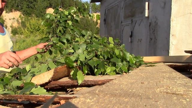 Просто и легко вяжем берёзовый веник для бани. Банный веник из берёзы. Заготовка веника в баню лето смотреть онлайн