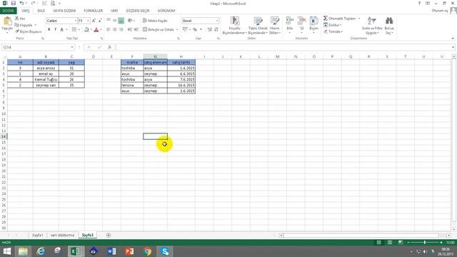 Microsoft Excel 2013- Veri Doldurma- Biçim-Veri Filtreleme-Grafik işlemleri #27 смотреть онлайн
