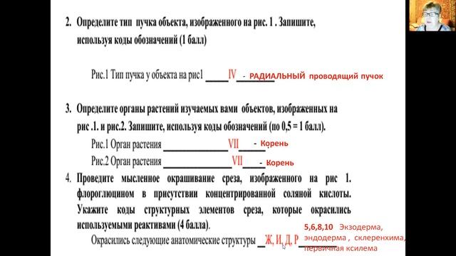 Разбор олимпиадных заданий по биологии. Региональный этап. Анатомия растений. 11 класс смотреть онлайн
