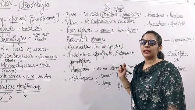Plant Kingdom | L-6 | Pteridophytes (Part-1) | Class 11th NCERT | NEET смотреть онлайн