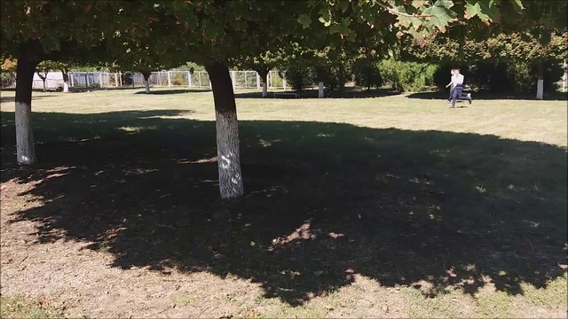 Ролик ПДД Рассвет смотреть онлайн