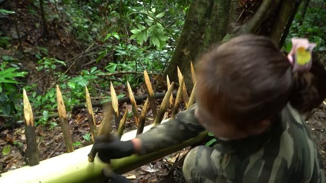 Detect Wild Animals, Quickly Create Rudimentary Traps To Trap Them, Survival Alone