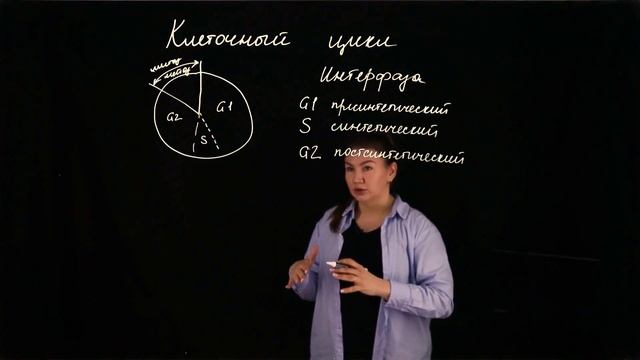 Клеточный цикл смотреть онлайн