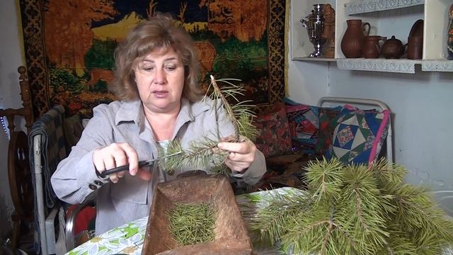 МАЗЬ из СОСНОВЫХ ИГОЛОК при ранках и трещинах кожи смотреть онлайн