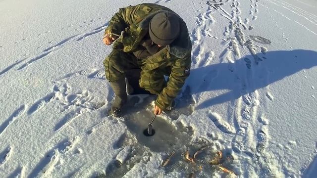 2018.01.13 - Долгожданный первый лед!!! Рыбалка на реке Лесной Воронеж. смотреть онлайн