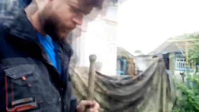 Заработала деньги)Ежевика Карака Блэк (Karaka Black)-самый ранний сорт крупноплодной ежевики. смотреть онлайн