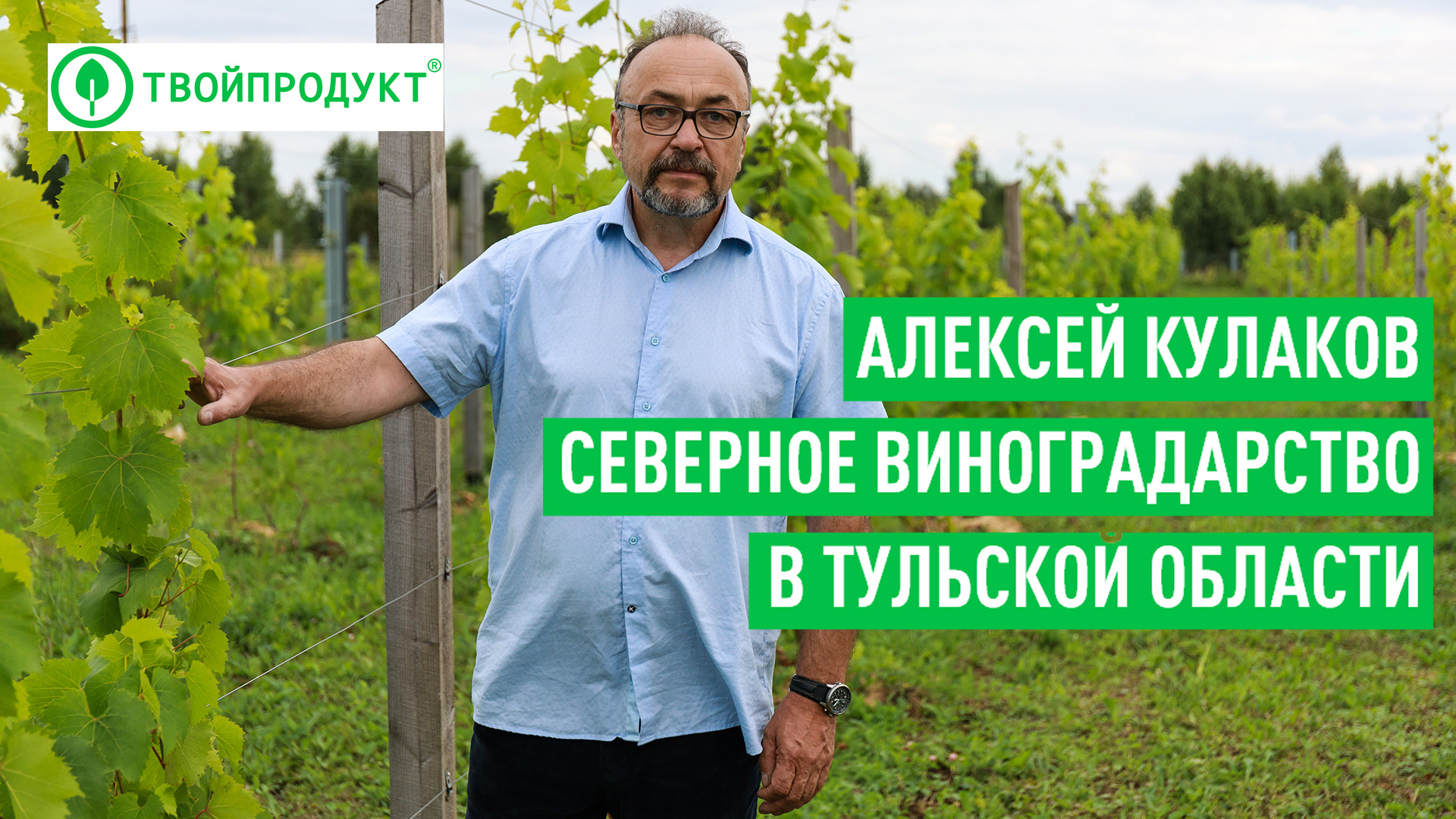 Виноградники в Тульской области. Реально делают свое вино смотреть онлайн