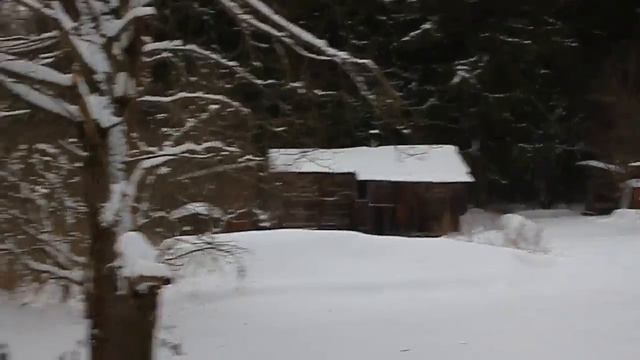 Участок по Ленинградскому ш., Березки смотреть онлайн