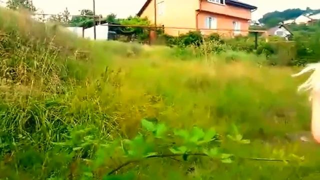 Участок 10 соток с домом 100 квадратов в Сочи смотреть онлайн