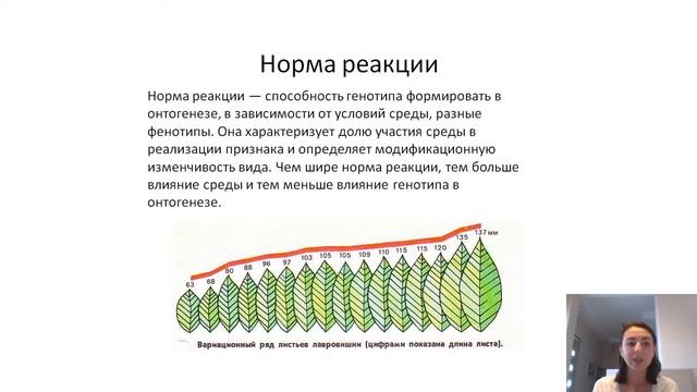 Что такое норма реакции за 2 минуты смотреть онлайн